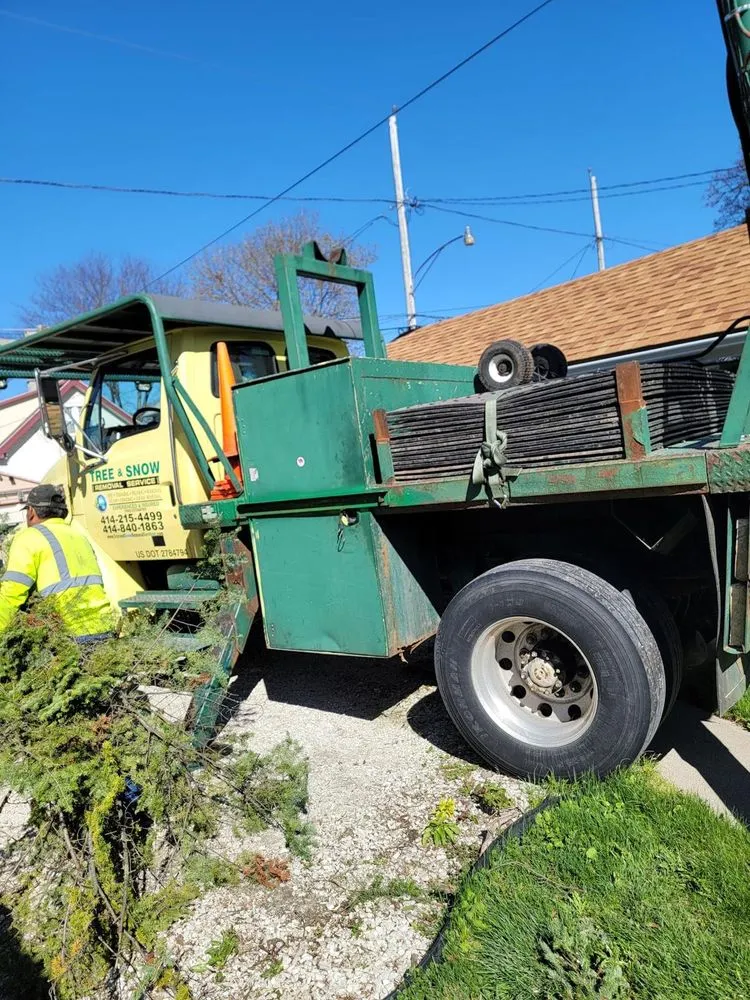 Professional yard maintenance with custom design in Menomonee Falls, WI by Tree & Snow Removal Service
