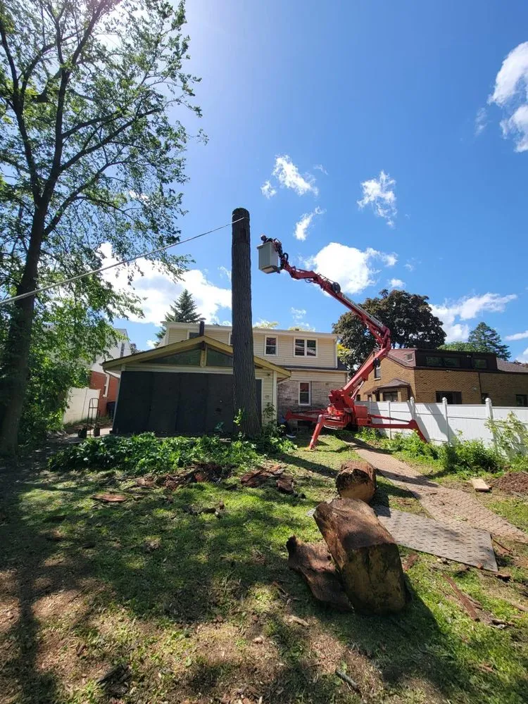 Affordable yard cleanup service in Menomonee Falls, WI - Tree & Snow Removal Service