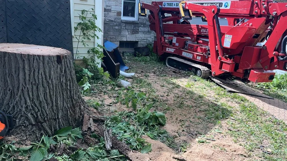 Top-rated lawn mowing service in Menomonee Falls, WI - Tree & Snow Removal Service