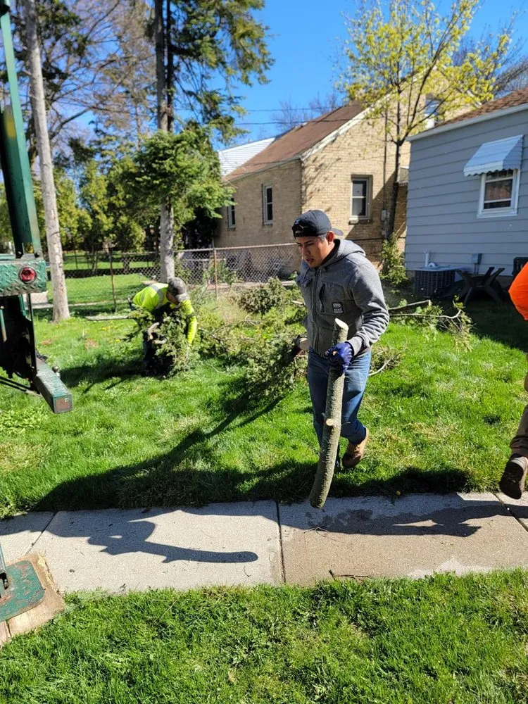 Trusted landscaping services experts serving Menomonee Falls, WI - Tree & Snow Removal Service