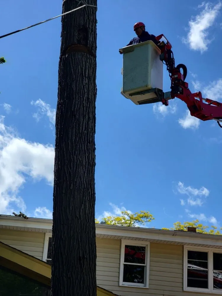 Trusted outdoor landscaping in Menomonee Falls, WI - Tree & Snow Removal Service