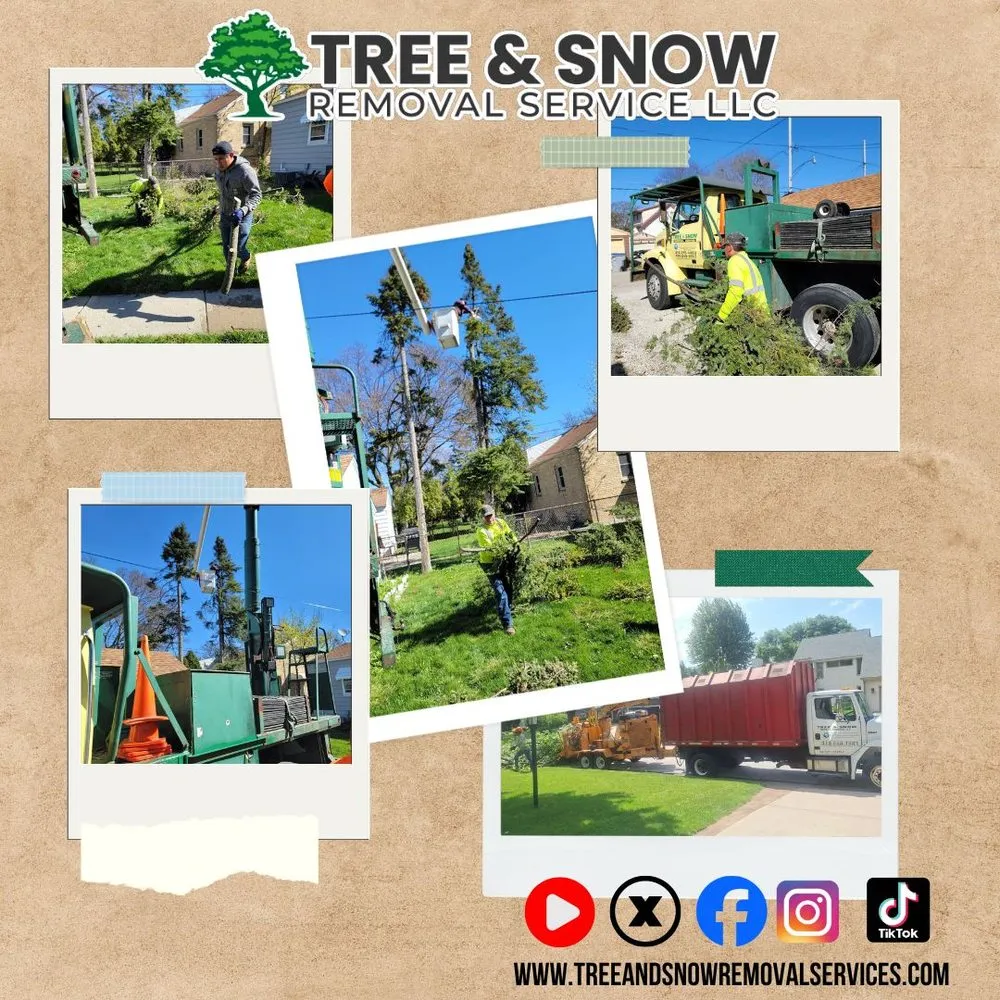 Local landscape design for residential properties in Menomonee Falls, WI by Tree & Snow Removal Service