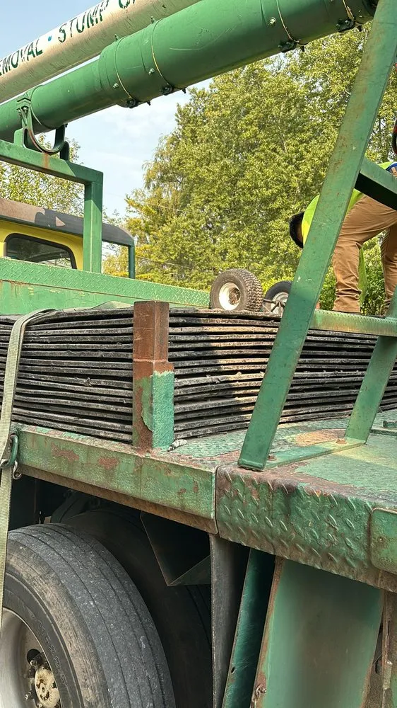 Custom landscaping services in Menomonee Falls, WI by Tree & Snow Removal Service