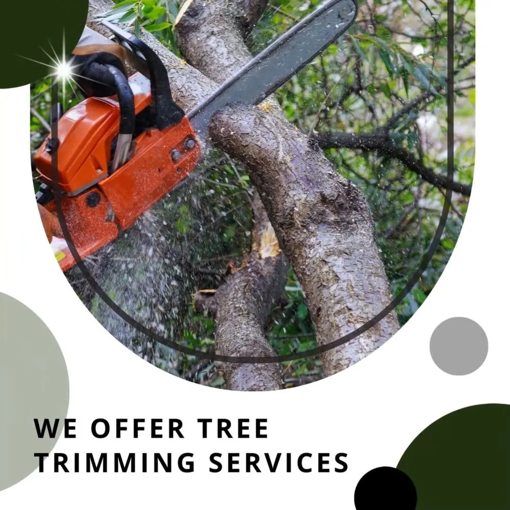 Top-rated garden landscaping for outdoor upgrades across Menomonee Falls, WI - Tree & Snow Removal Service