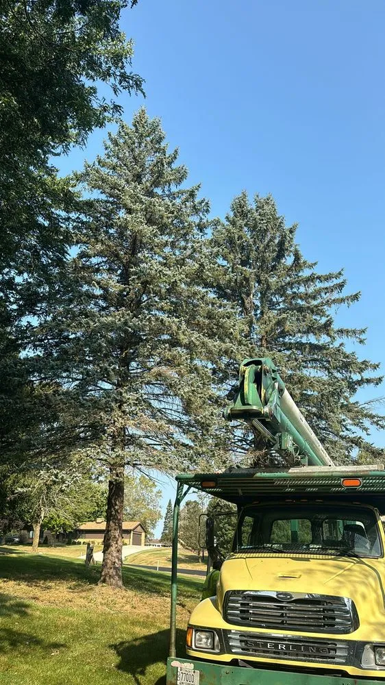 Top-rated lawn mowing service for outdoor upgrades across Menomonee Falls, WI - Tree & Snow Removal Service