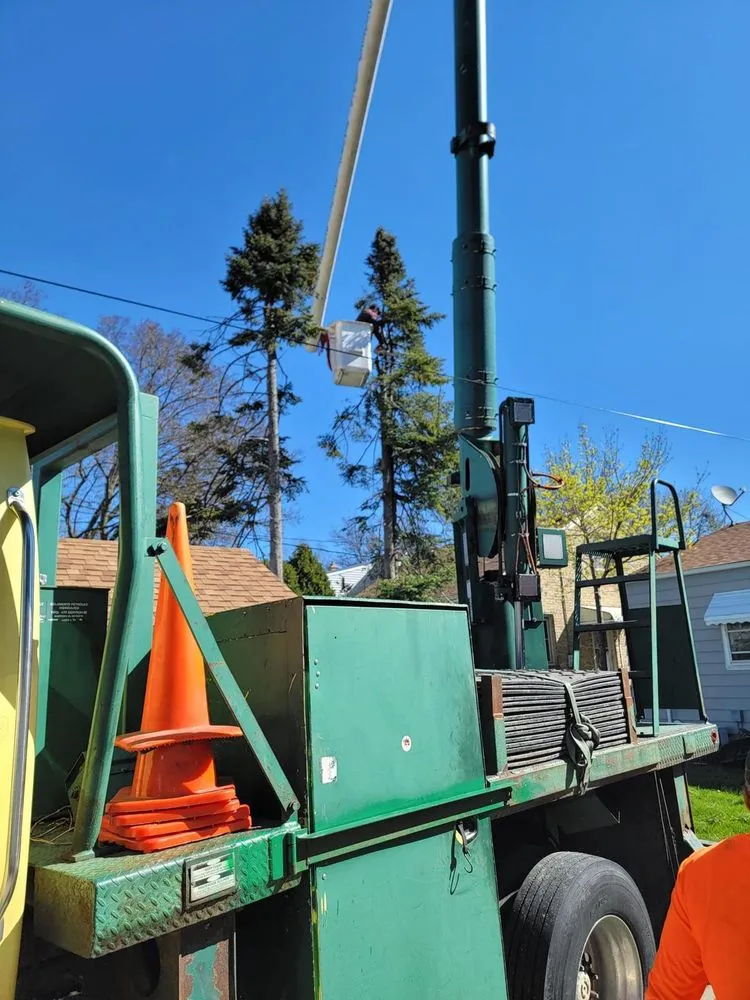 Affordable lawn mowing service for outdoor upgrades in Menomonee Falls, WI by Tree & Snow Removal Service