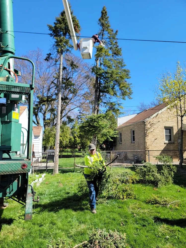 Reliable lawn mowing service for beautiful yards in Menomonee Falls, WI by Tree & Snow Removal Service