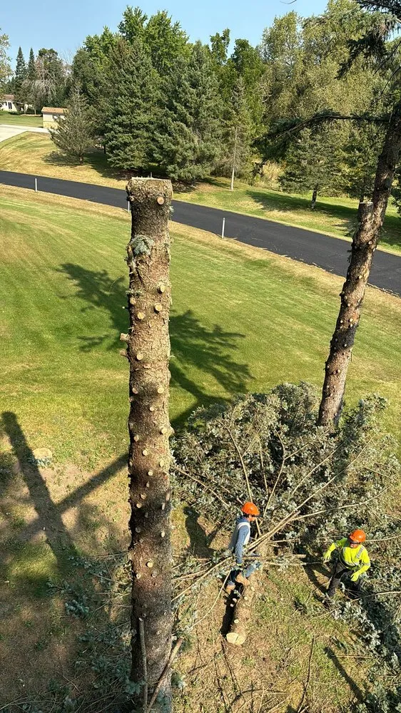 Custom yard cleanup service experts serving Menomonee Falls, WI - Tree & Snow Removal Service