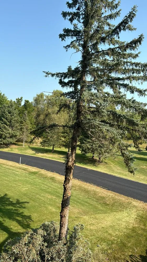 Expert landscape installation for beautiful yards across Menomonee Falls, WI - Tree & Snow Removal Service