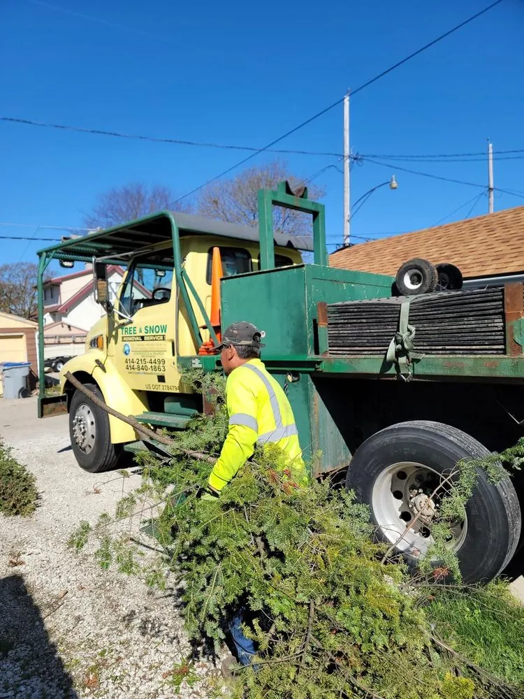 Affordable landscape installation experts serving Menomonee Falls, WI - Tree & Snow Removal Service