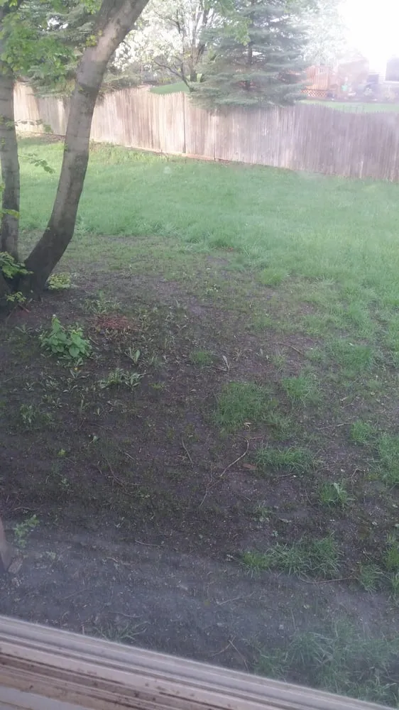 Affordable outdoor landscaping in Bolingbrook, IL - Tree & Turf Professionals