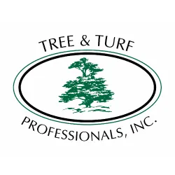 Custom garden landscaping for year-round maintenance across Bolingbrook, IL - Tree & Turf Professionals