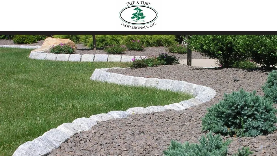 Top-rated yard cleanup service experts serving Bolingbrook, IL - Tree & Turf Professionals