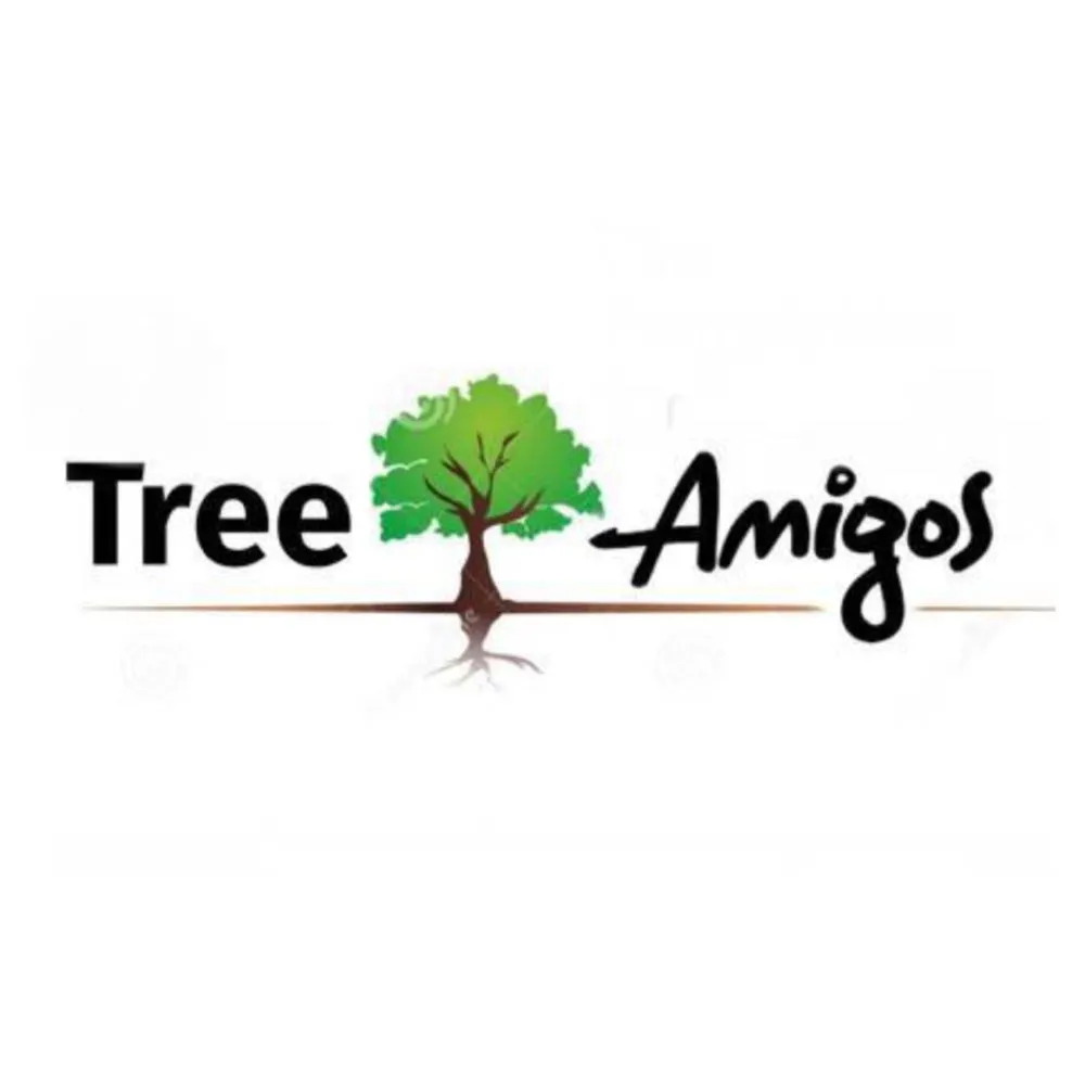 Local landscape design in Orlando, FL - Tree Amigos Orlando