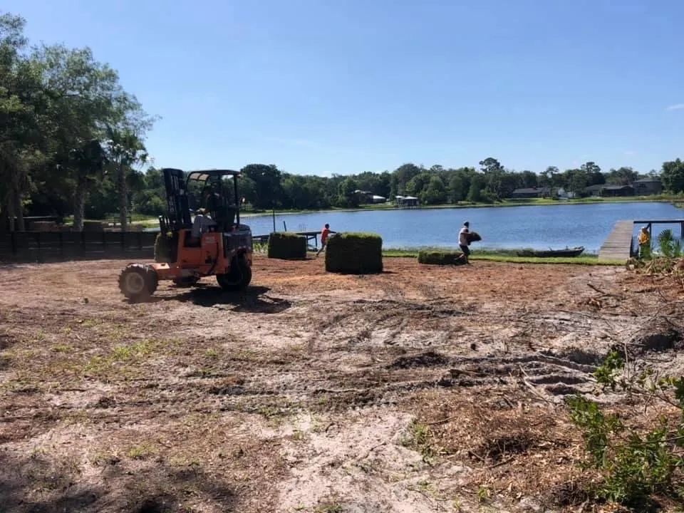 Professional lawn care service experts serving Orlando, FL - Tree Amigos Orlando