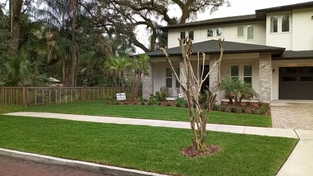 Reliable yard maintenance for year-round maintenance across Orlando, FL - Tree Amigos Orlando