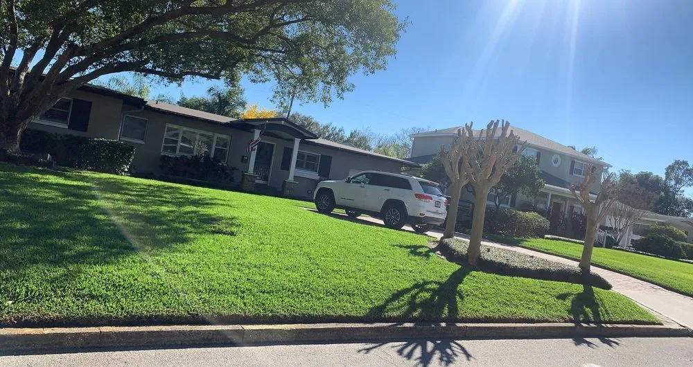 Reliable landscaping services in Orlando, FL - Tree Amigos Orlando