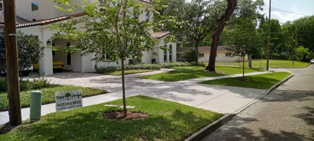 Top-rated yard cleanup service with custom design across Orlando, FL - Tree Amigos Orlando