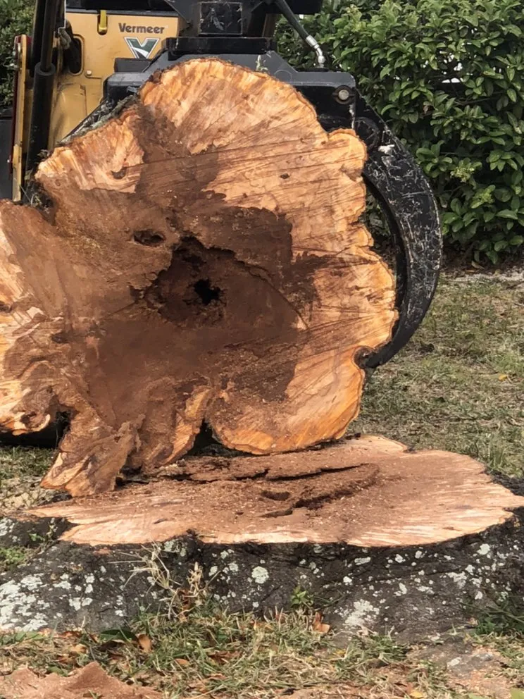 Expert garden landscaping in Orlando, FL by Tree Amigos Orlando