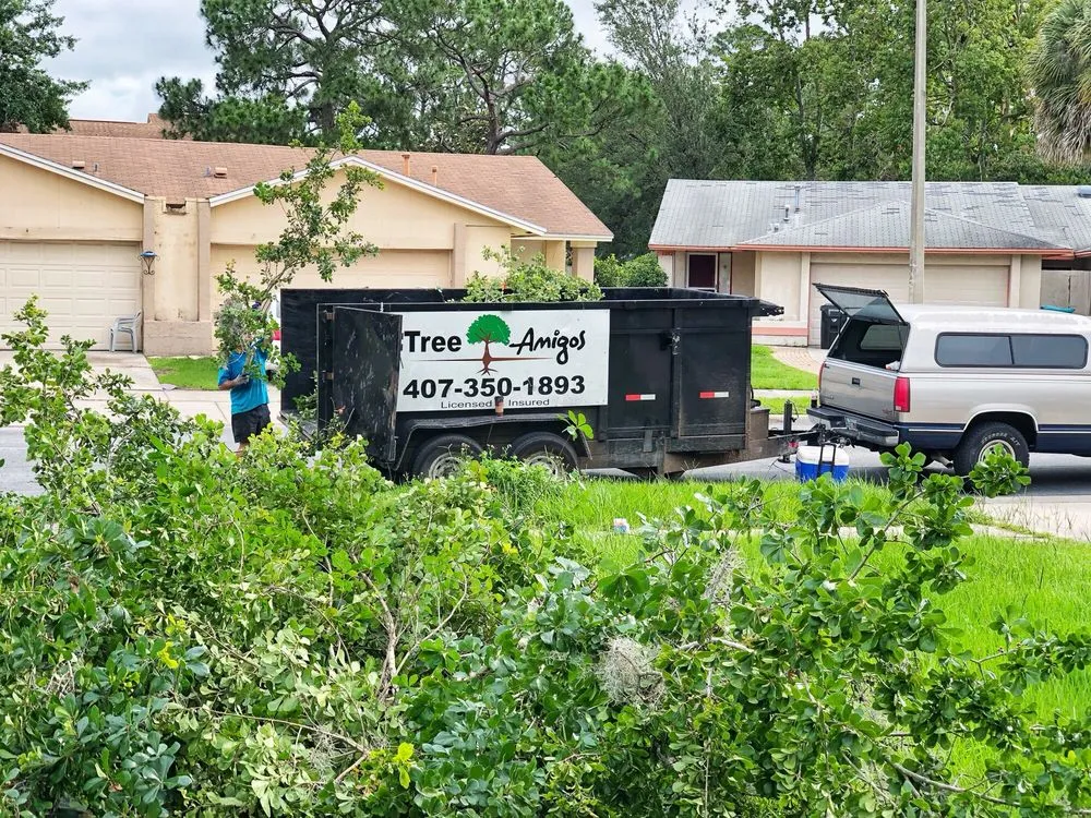 Expert landscape installation for year-round maintenance in Orlando, FL by Tree Amigos Orlando