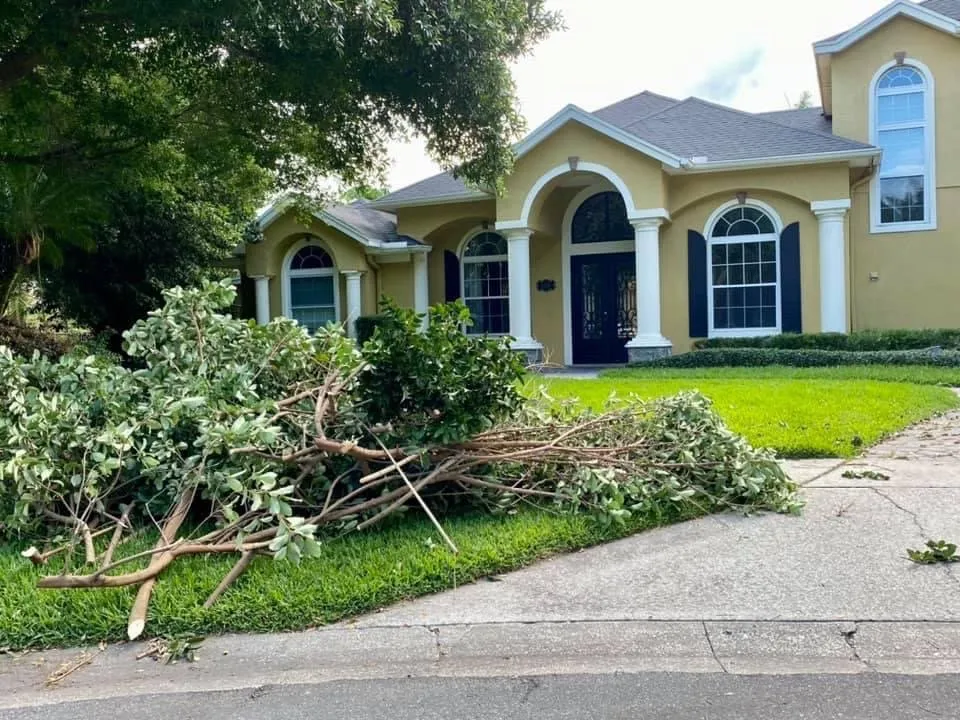 Trusted residential landscaping for homes in Orlando, FL by Tree Amigos Orlando