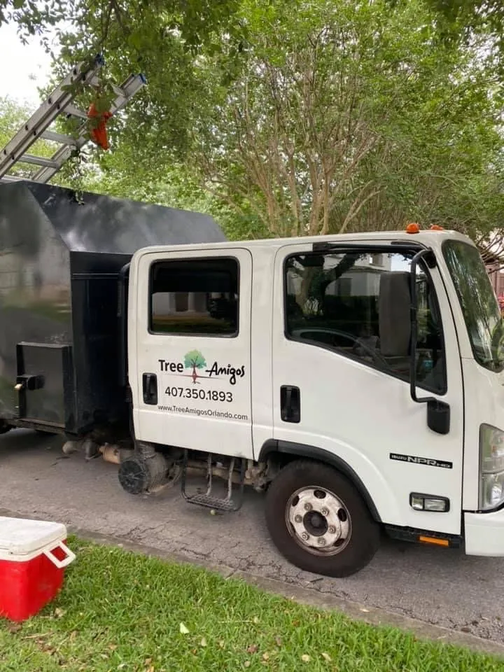 Top-rated outdoor landscaping for homes in Orlando, FL by Tree Amigos Orlando