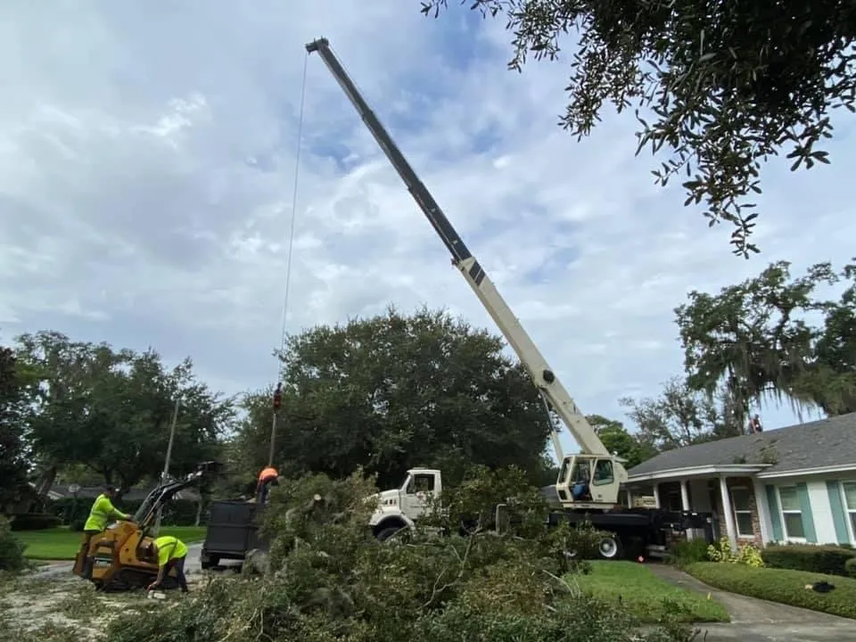 Top-rated landscaping services with custom design across Orlando, FL - Tree Amigos Orlando