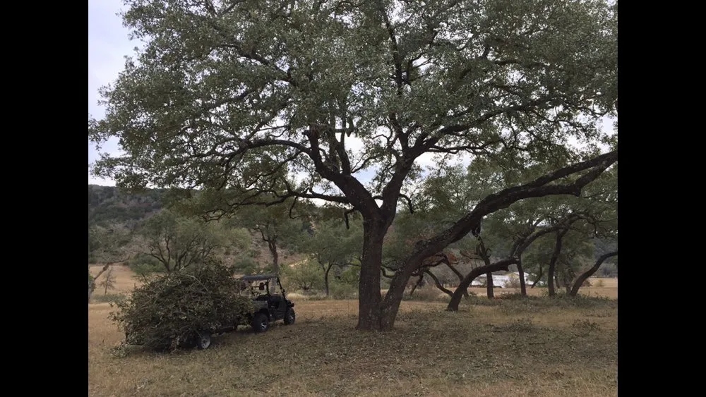 Top-rated outdoor landscaping in San Antonio, TX by Tree Amigos Tree Service