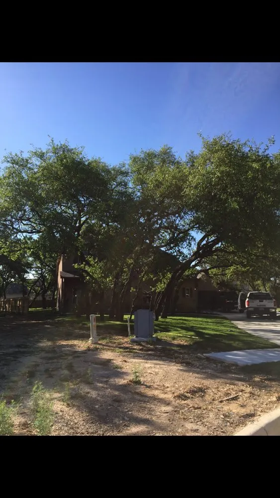 Trusted landscape design in San Antonio, TX - Tree Amigos Tree Service