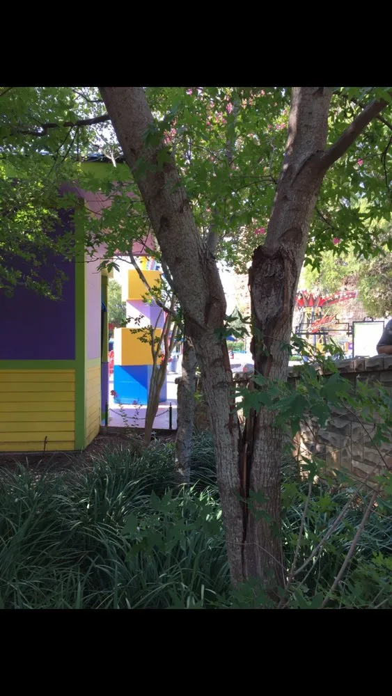 Local residential landscaping with custom design across San Antonio, TX - Tree Amigos Tree Service