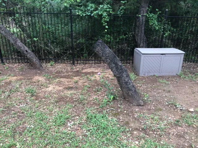 Affordable lawn care service experts serving San Antonio, TX - Tree Amigos Tree Service