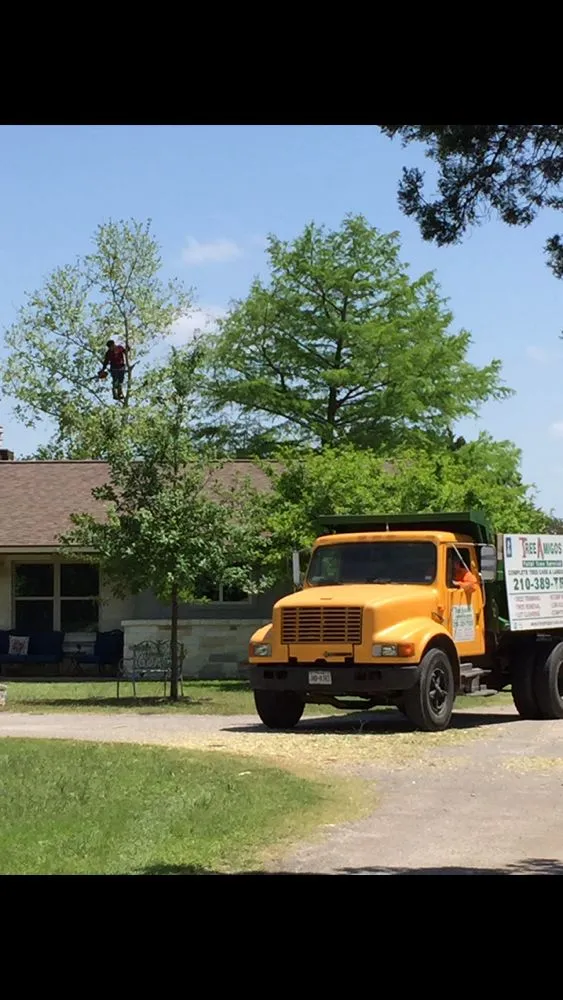 Reliable lawn care service for outdoor upgrades in San Antonio, TX by Tree Amigos Tree Service