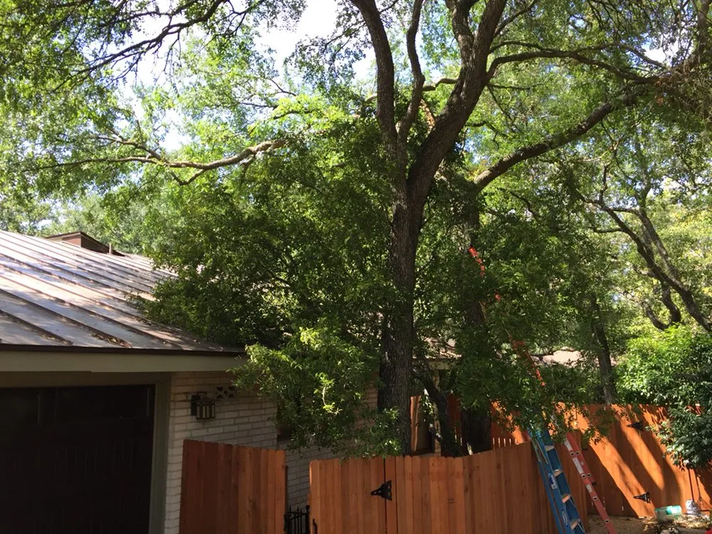 Custom landscape installation for homes in San Antonio, TX by Tree Amigos Tree Service