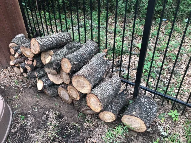 Affordable landscaping services in San Antonio, TX - Tree Amigos Tree Service