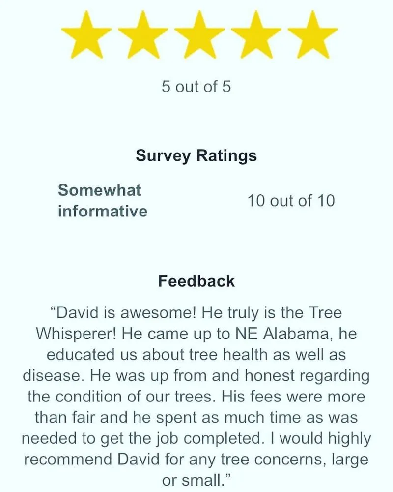 Reliable lawn mowing service in Birmingham, AL - Tree and Horticultural Management Services