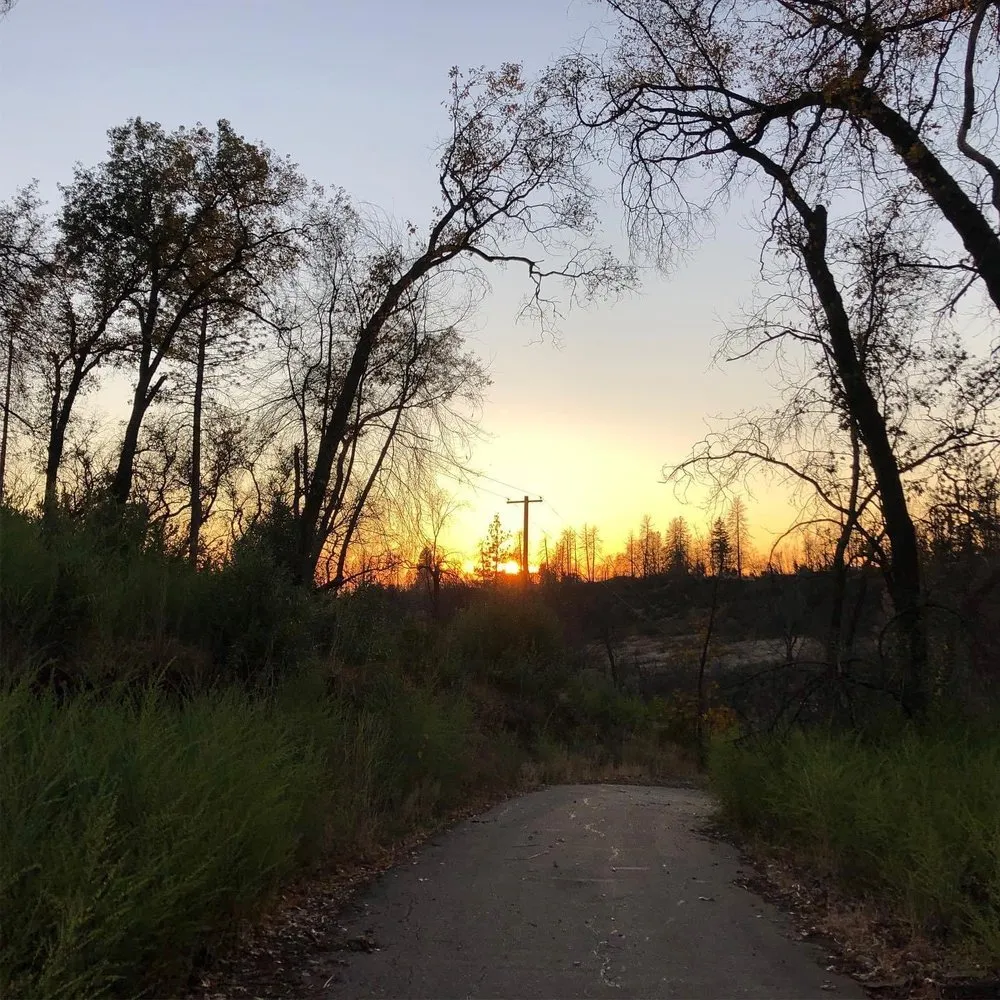 Reliable outdoor landscaping near you across Birmingham, AL - Tree and Horticultural Management Services