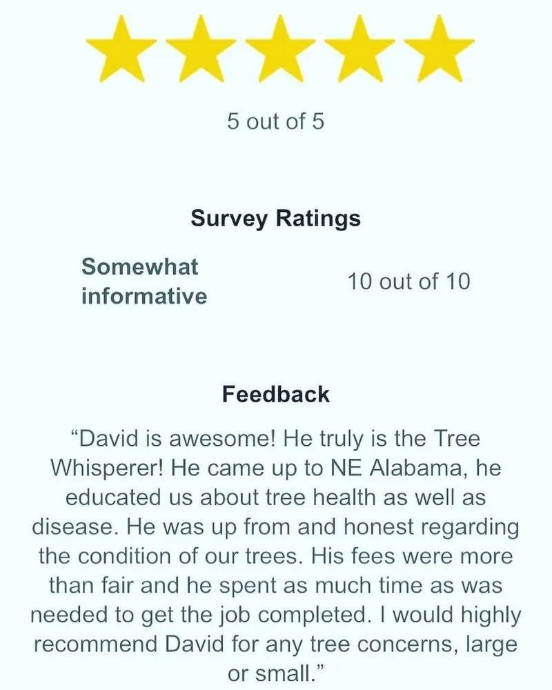 Top-rated garden landscaping for beautiful yards across Birmingham, AL - Tree and Horticultural Management Services