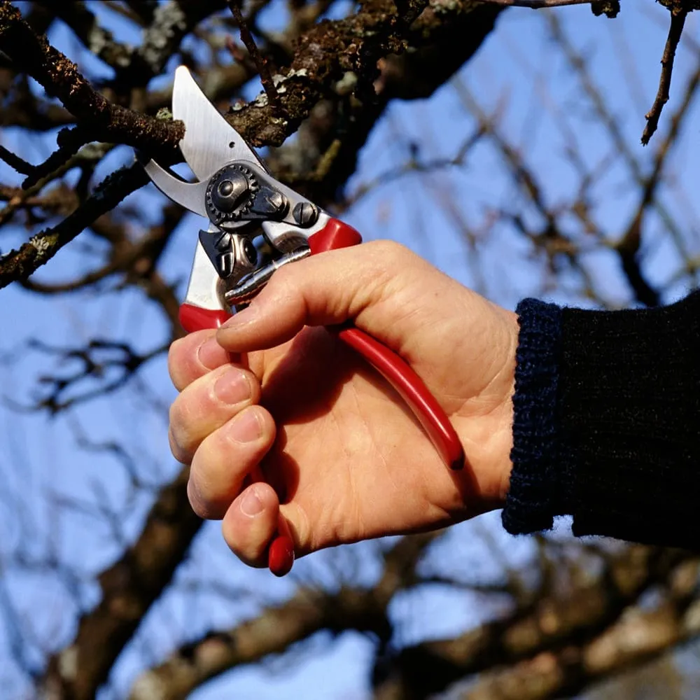 Local garden landscaping in Portland, OR - Tree and Ladder Home Orchard Care