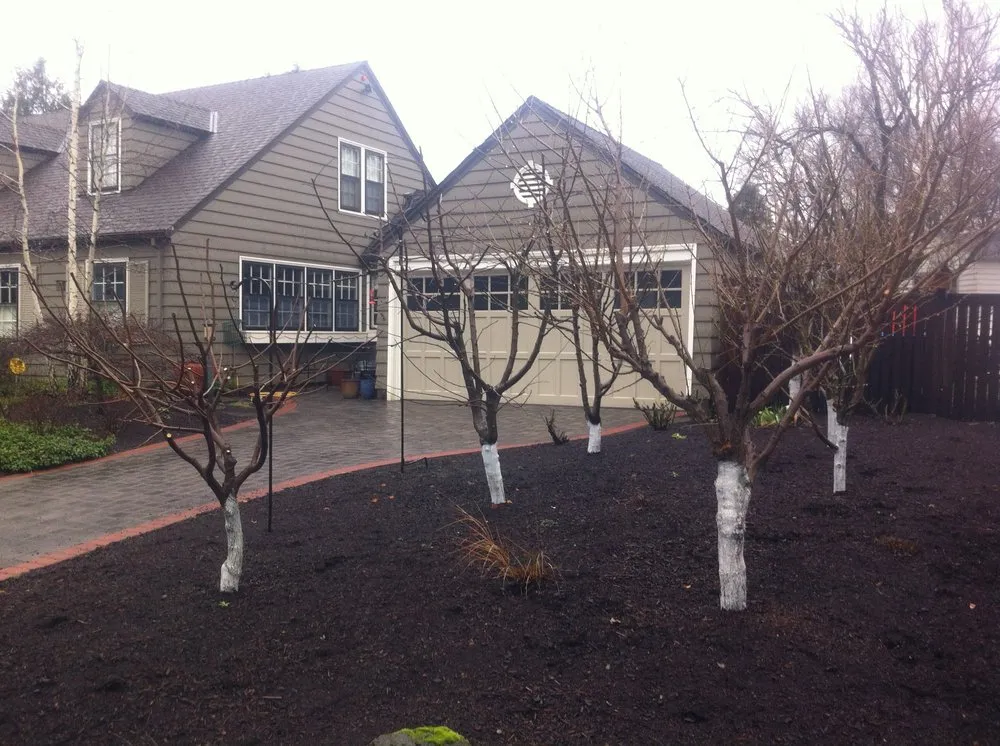 Affordable landscape design for residential properties across Portland, OR - Tree and Ladder Home Orchard Care