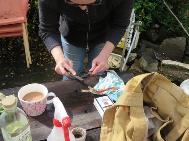 Affordable yard maintenance with custom design across Portland, OR - Tree and Ladder Home Orchard Care