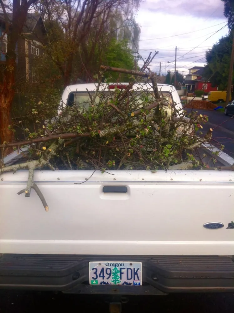 Trusted garden landscaping with custom design in Portland, OR by Tree and Ladder Home Orchard Care