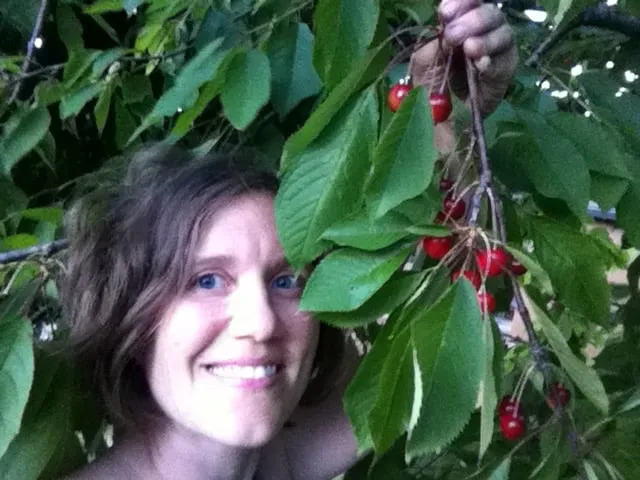 Reliable outdoor landscaping in Portland, OR - Tree and Ladder Home Orchard Care