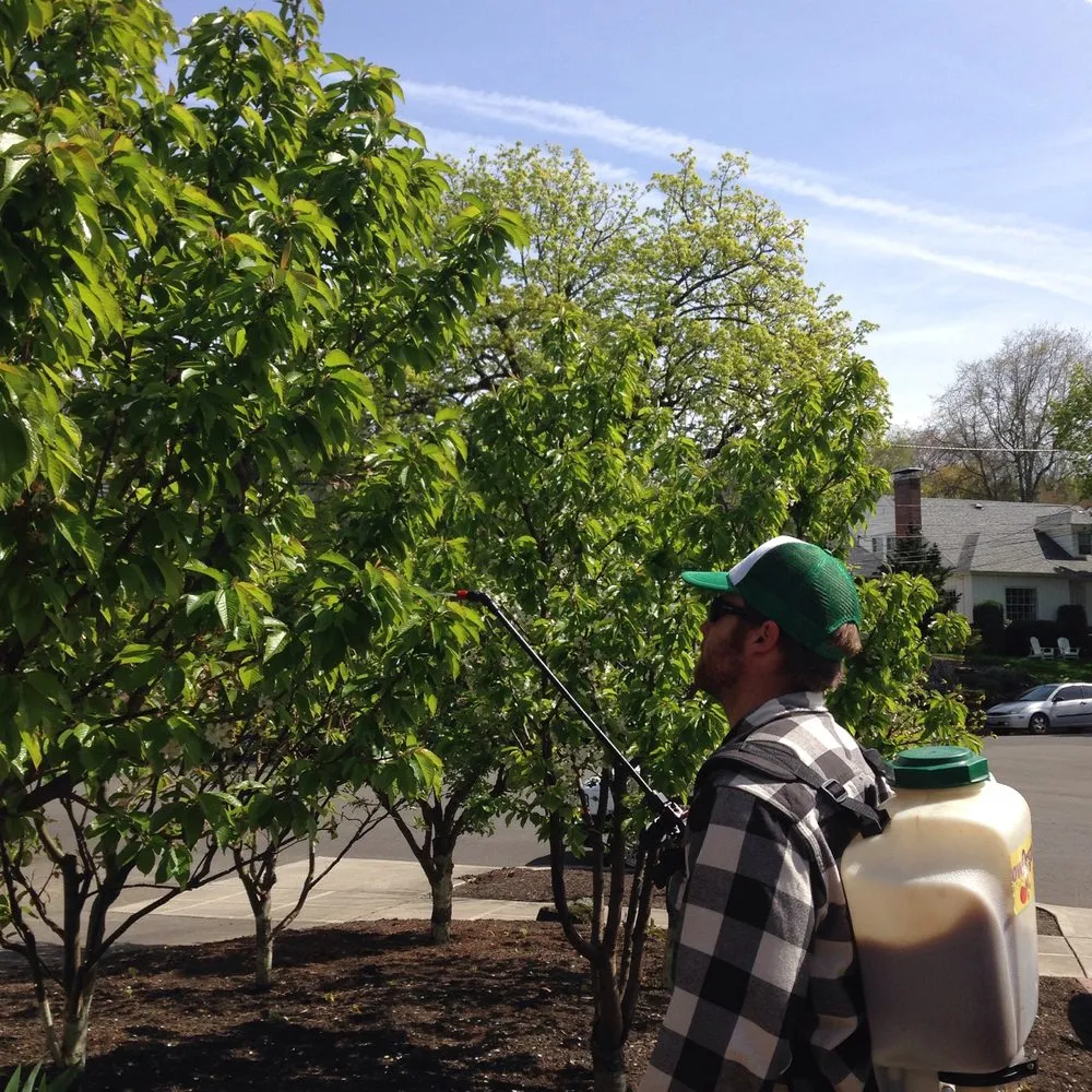 Reliable landscape installation experts serving Portland, OR - Tree and Ladder Home Orchard Care