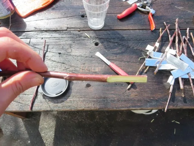 Trusted landscaping services with custom design across Portland, OR - Tree and Ladder Home Orchard Care