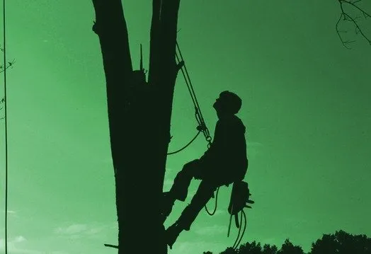 Expert garden landscaping near you in Clarksville, TN by Tree and Land MCT