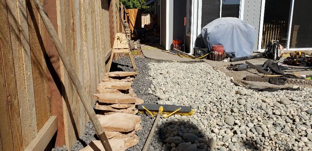 Top-rated yard cleanup service for homes in Sacramento, CA by Tree and Landscape Pros