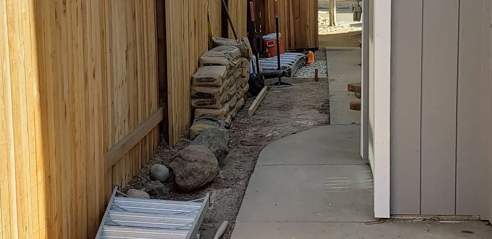 Expert yard cleanup service in Sacramento, CA - Tree and Landscape Pros