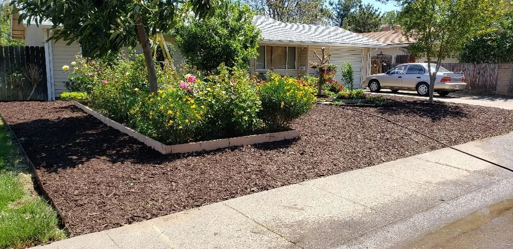 Local landscaping services in Sacramento, CA - Tree and Landscape Pros