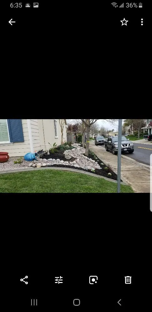 Expert garden landscaping near you in Sacramento, CA by Tree and Landscape Pros