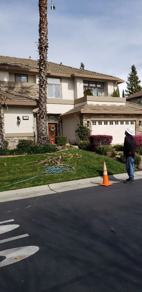 Affordable landscaping services experts serving Sacramento, CA - Tree and Landscape Pros